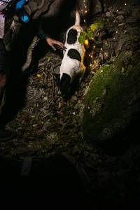 BIB: 
                            <button type="button" onclick="openModal(13604898)" class="btn btn-primary btn-sm float-right btn-popup" data-toggle="modal" data-target=".modal-high-quality">
                        <i class="fas fa-shopping-cart"></i> Add to Cart
                    </button>
                                            <button type="button" onclick="isThisMe(13604898, true)" class="btn btn-success btn-sm float-right btn-popup btn-isme hidden" data-toggle="tooltip" data-placement="bottom" title="นี่คือรูปของคุณใช่ไหม คลิกที่นี่เพื่อเอาเข้าอัลบั้ม">
                        <i class="fas fa-plus"></i> Add to album
                    </button>
                    <button type="button" onclick="isThisMe(13604898, false)" class="btn btn-warning btn-sm float-right btn-popup btn-isnotme hidden">
                        <i class="fas fa-ban"></i> Remove from album
                    </button>